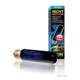 Exo Terra Night Heat Lamp 25W