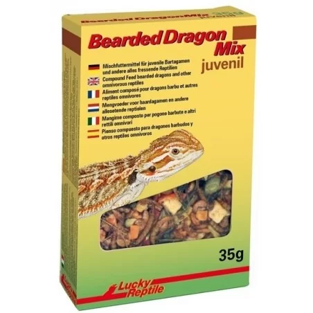 Lucky Reptile - Bearded Dragon Mix Juvenile 35g