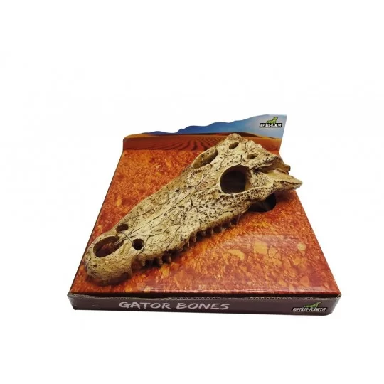 Reptiles Planet - Gator Bones (21,5x11x8cm)