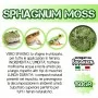 Sphagnum Moss 150gr