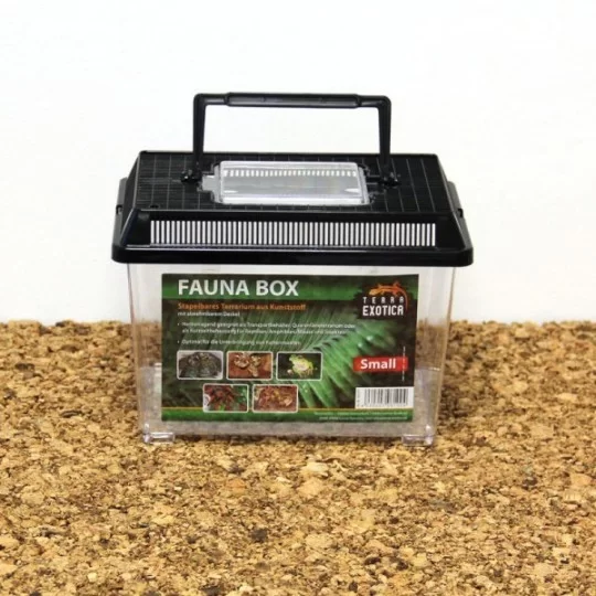 Terra Exotica Fauna Box - Small 23 x 15 x 17