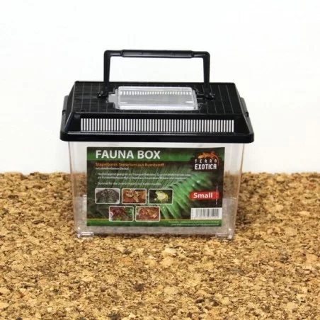 Terra Exotica Fauna Box - Small 23 x 15 x 17
