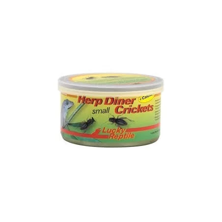 Lucky Reptile - Herp Diner Crickets Small 35 gr.