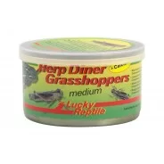 Lucky Reptile - Herp Diner Grasshopper medium 35 gr.