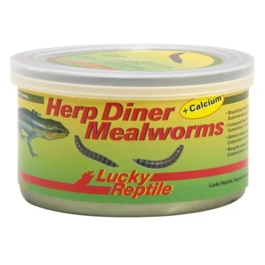 Lucky Reptile - Herp Diner Mealworms 35 gr.