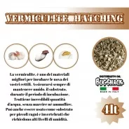 Vermiculite Hatching 4l