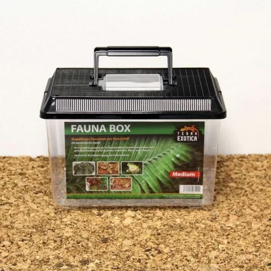 Terra Exotica Fauna Box - Medium 30 x 20 x 20 cm