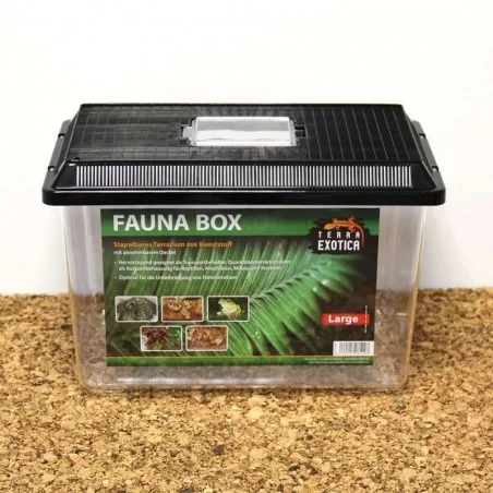 Terra Exotica Fauna Box - Large 38 x 24 x 25 cm