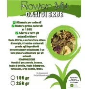 Bug Snack - Flower Mix Oasi di Erbe 100gr