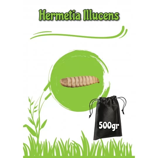 Hermetia Illucens 500gr