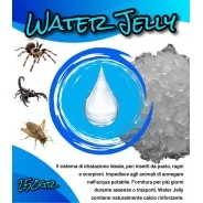 Bug Snack - Water Jelly 250gr