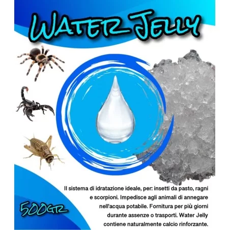 Bug Snack - Water Jelly 500gr