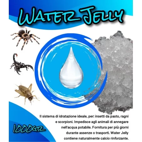 Bug Snack - Water Jelly 1kg
