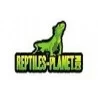 Reptiles Planet